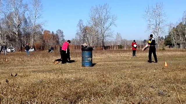 Осенние забавы фигуранта, 11.10.2015, Ангарск смотреть онлайн
