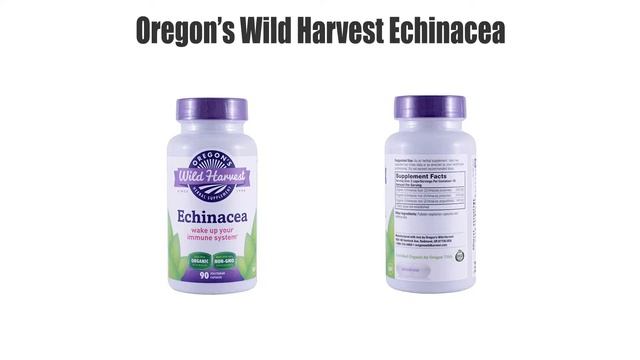 Best Echinacea Supplements - Top 10 Ranked смотреть онлайн