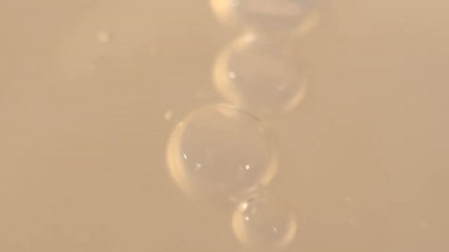 THE BATH BOX - Peptide Prebiotic смотреть онлайн
