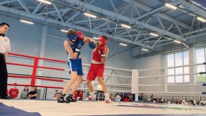 Соревнования по боксу / Юноши 15-16 лет / Вес 63 кг / Высокий против Высокого