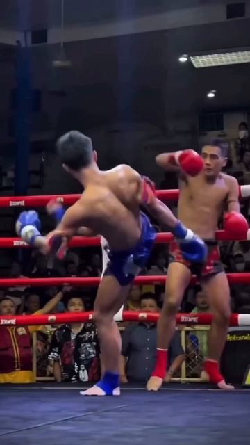 Эдит, НАРЕЗКА ЖЕСТКИХ НАКАУТОВ.