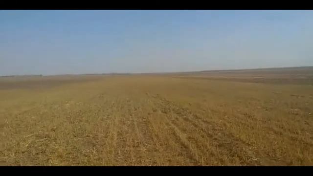 Козы - собаки - цветы - любоВ! смотреть онлайн
