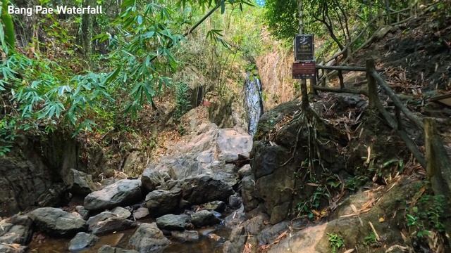 Bang Pae Waterfall - Walk to popular waterfalls in Phuket #rainforest #hiking #phuket #jungle смотреть онлайн