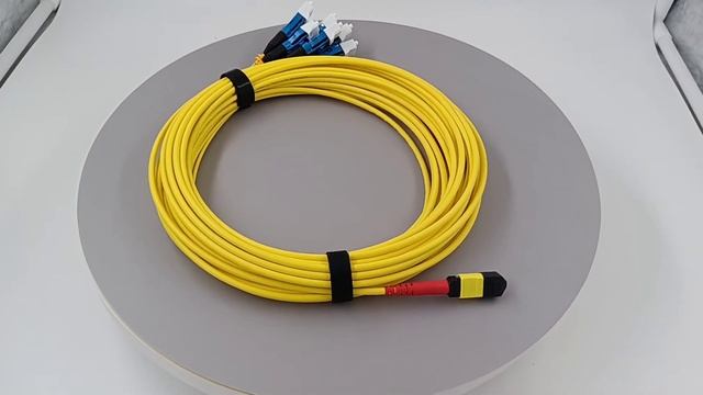 10Gbs OM3 Multi Mode MTP Fanout Cable For 4 Duple LC Patch Cord смотреть онлайн