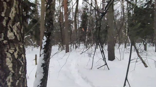 Садовые товарищества кореневского карьера смотреть онлайн