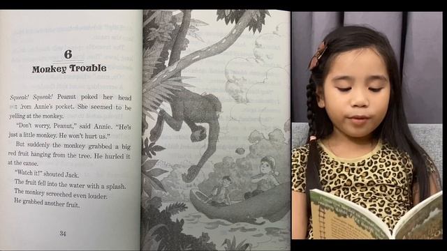 MAGIC TREE HOUSE Book #6 (Storytelling) | Afternoon on the Amazon смотреть онлайн