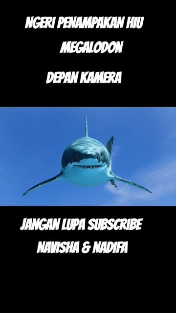 MUNCULNYA SANG PENGUASA LAUTAN #shorts #yearofyou смотреть онлайн