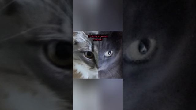 история главных героев!!! смотреть онлайн