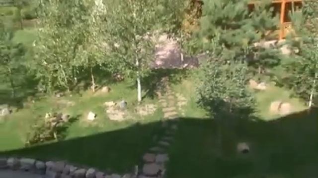 Озеленение участка площадью 18 соток в Нижегородской области