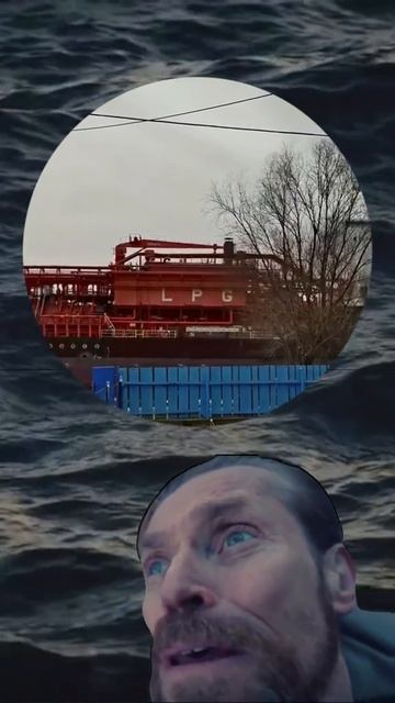 видео не мое взял с тиктока