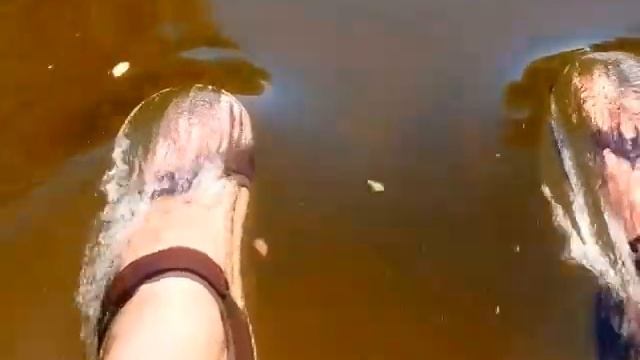 По протоке на Хортице... смотреть онлайн