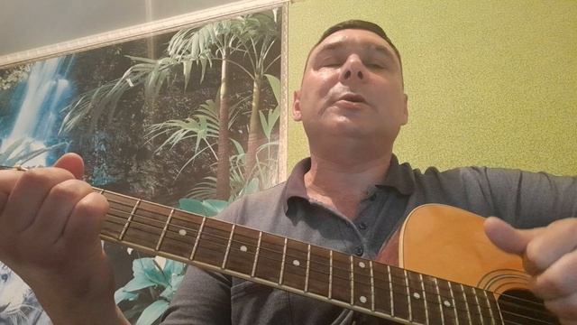 Фронтовые коты...