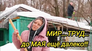 МИР ТРУД, а до МАЯ ещё далеко | Дом в деревне | Деревенские будни | Семья в селе