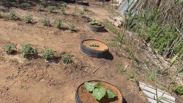 Дача с весны до осени конец Мая смотреть онлайн