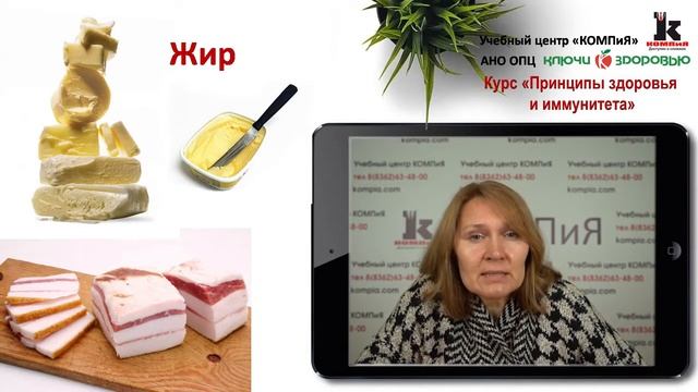 1 лекция смотреть онлайн