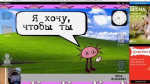 кинито пет