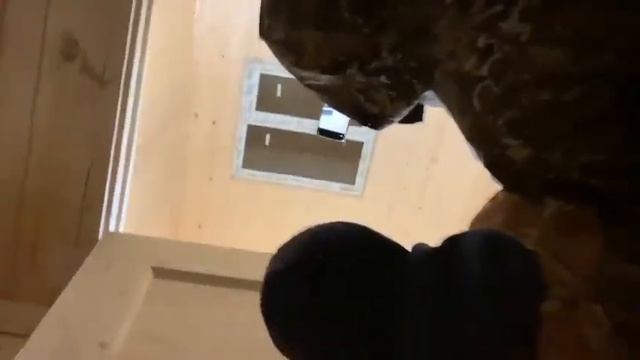 Каркасный дом 6х7,5 с ломаной крышей смотреть онлайн