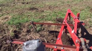 Пахота плугом Wirax 3-25. Агрегатируется с трактором Shibaura D275F. Польский плуг виракс