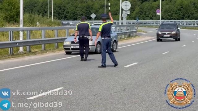 Облава на таксистов у аэропорта Храброво (Калининград) смотреть онлайн