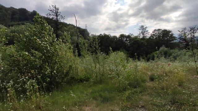 50сот ИЖС на Красной Поляне, Сочи смотреть онлайн