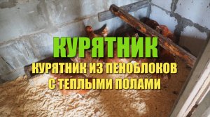 Курятник из пеноблока своими руками. Заселил цыпочек в новый курятник с теплыми полами