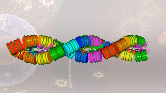 DNA package scheme смотреть онлайн