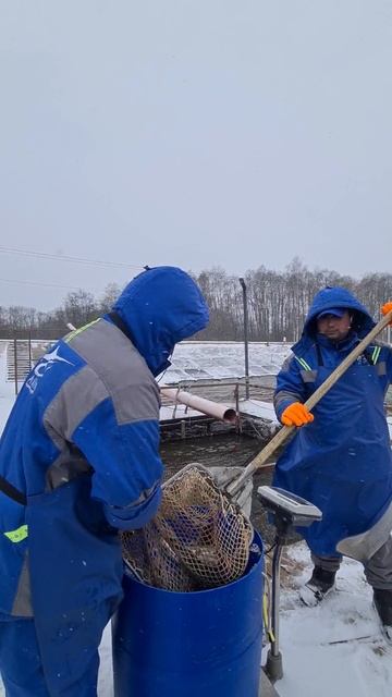 Запуск форели смотреть онлайн