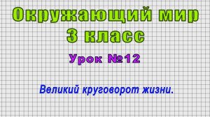 Окружающий мир 3 класс (Урок№12 - Великий круговорот жизни.)