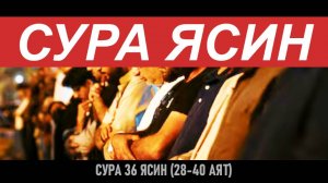 СУРА ЯСИН СЛУШАТЬ КОРАН ОНЛАЙН в хорошем качестве