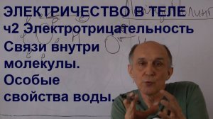 Электричество в теле ч2. Электроотрицательность. Особые свойства воды