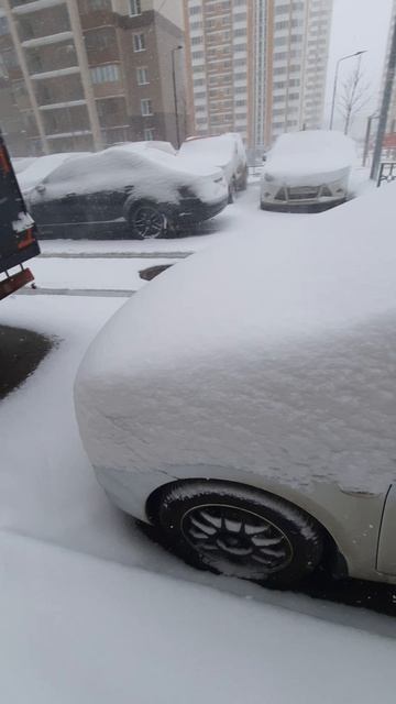 6 Апреля 2025 ,Зима пришла в гости