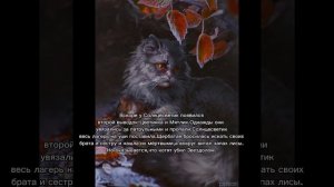 История Щербатой/Коты-воители