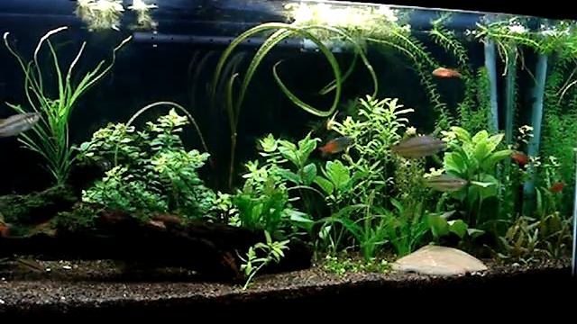 New XP2 canister filter смотреть онлайн