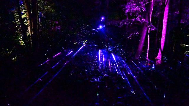 DSC_8500 смотреть онлайн