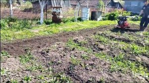 Мотоблок Зубр Мту 450, фрезеровка, культивация