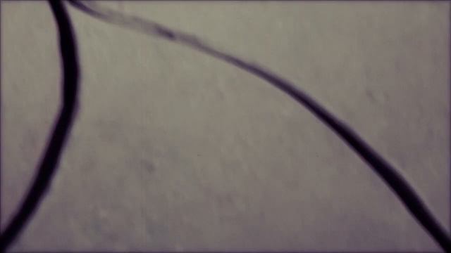 Eris Is My Homegirl - Crab This Way [ Official Music Video ] смотреть онлайн
