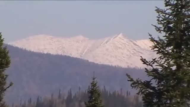 ПРЕДЗИМЬЕ. (Природа Кузбасса, октябрь - 2014 года)