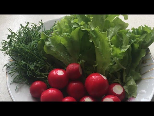 Ранний урожай в теплице. Результаты эксперимента. смотреть онлайн