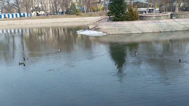 Almaty March 14th Gorky Park walk Timelapse смотреть онлайн
