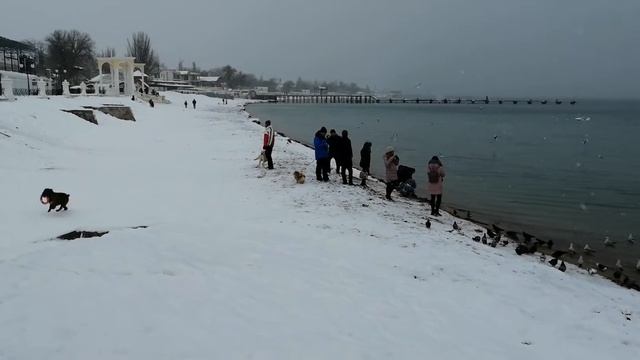 С Рождеством! смотреть онлайн