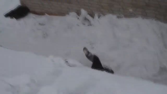 Freerun 2012.Energy Life.Let it snow 2.wmv смотреть онлайн