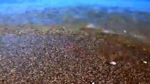 Кто я, что призрел Ты на меня Жемчужина___Христианское пение