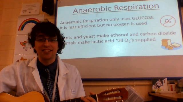 What is Anaerobic respiration song смотреть онлайн