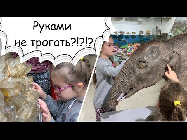 Музей в котором можно трогать экспонаты руками! Минералогический музей 