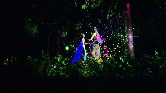 DSC_8572 смотреть онлайн