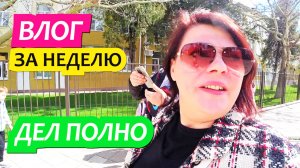 Динская. Влог за неделю.  Приходим в себя после неприятных  новостей.  Грабли лайф жизнь в станице