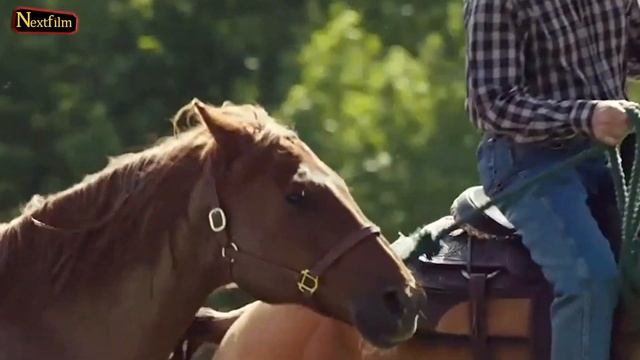 Heartland Season 16 New Cast Members Revealed! смотреть онлайн