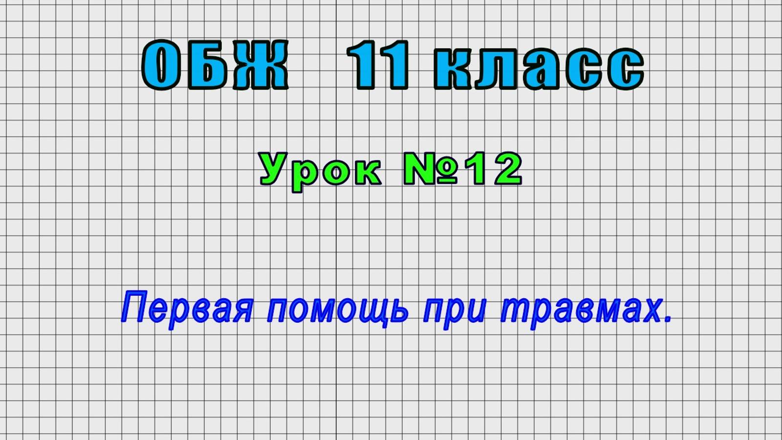 ОБЖ 11 класс (Урок№12 - Первая помощь при травмах.) смотреть онлайн