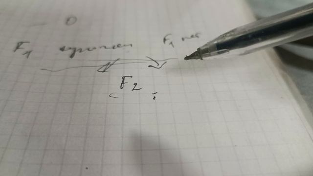 Почем цыплята