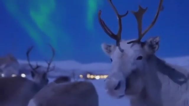 Норвегия 🇳🇴 Norway